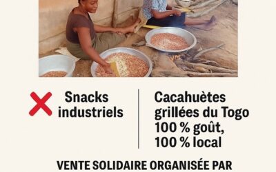 Projet Arachides 2025